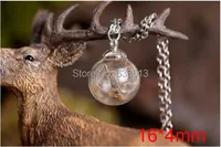 Freeship 20sets/lot 16mm*4mm(opening) glass bubble 8mm silver/bronze cap DIY Glass bottle vial pendant necklace without filler