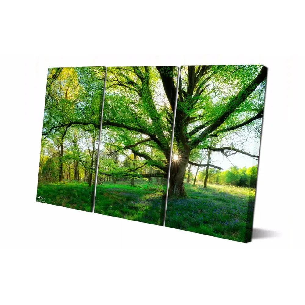 Drop shipping 3 Panel printed painting Landscape Wall Art Picture Home Decoration Living Room Modern LS736 | Дом и сад