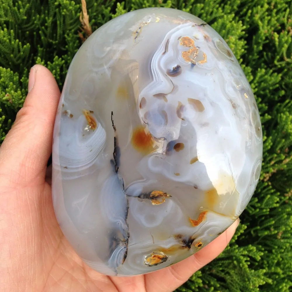 

xd j00878 Beautiful Natural Polished Aquatic Plants Agate Crystal Madagascar