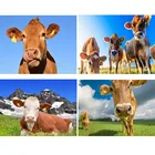 Алмазная 5D картина сделай сам, вышивка крестиком с изображением коричневой молочной коровы, стразы, мозаика, творческие хобби и ремесла