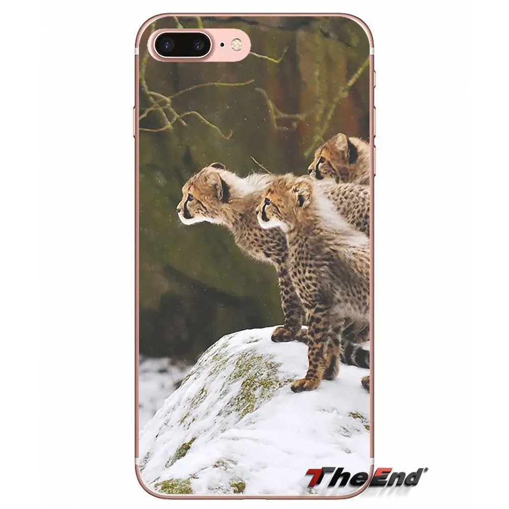Мягкий чехол для iPhone X 4 4S 5 5S 5C SE 6 6S 7 8 Plus Samsung Galaxy J1 J3 J5 J7 A3 A5 2016 2017 Baby Cheetah Full Speed Sunset|case
