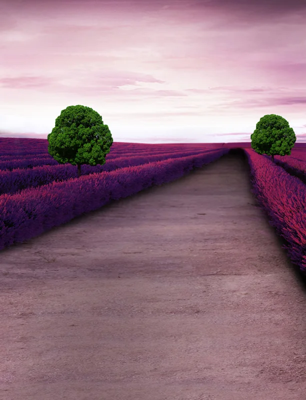 Wonderland vinyl cloth purple lavender flower field sky photography backdrops for wedding kids photo studio portrait backgrounds |