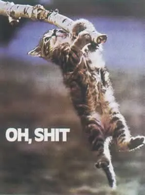 Забавный постер с принтом котенка и цитатой подвесной на стену изображением кота