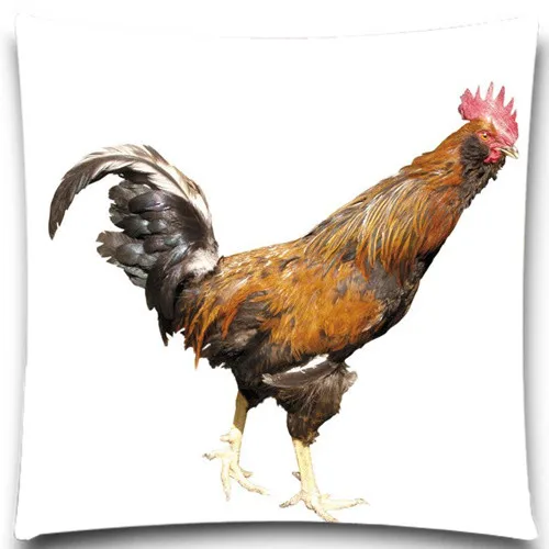 

Cute animals cock fashion Style Sofa Cushion Covers Car bedroom Square cotton polyester 16" 18" 20"
