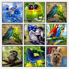 Алмазная 5D картина для творчества, мультяшное животное, попугай, Сова, алмазная вышивка, птицы, набор стразы, мозаика, вышивка крестиком, подарок