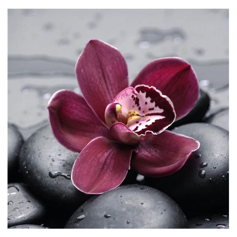 

Алмазная 5D картина «сделай сам», вышивка из страз, цветок орхидеи, вышивка крестиком, подарок, полноформатная мозаика, домашний декор