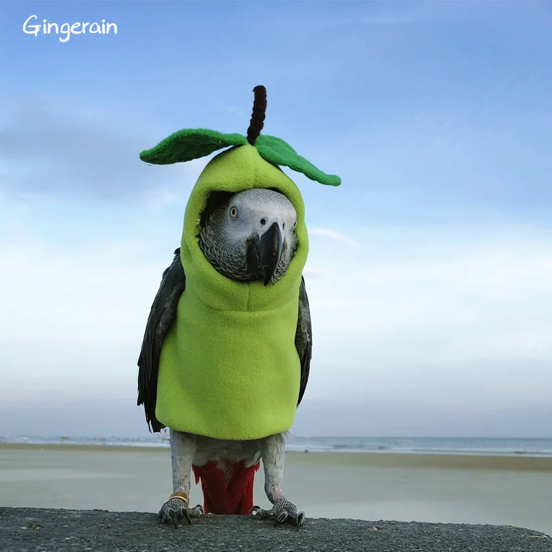 Gingerain одежда с птицами попугай Одежда Маленький принц ручной работы на заказ одежда с птицами с капюшоном свитер фруктовый парк