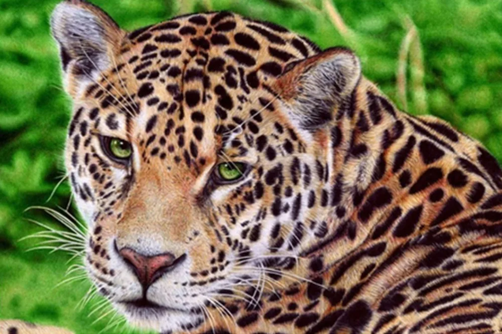 5D Diy Diamond Painting Cross Stitch Highly Alert Leopard Needlework Embroidery Full Round Mosaic Decoration Resin Kits | Дом и сад