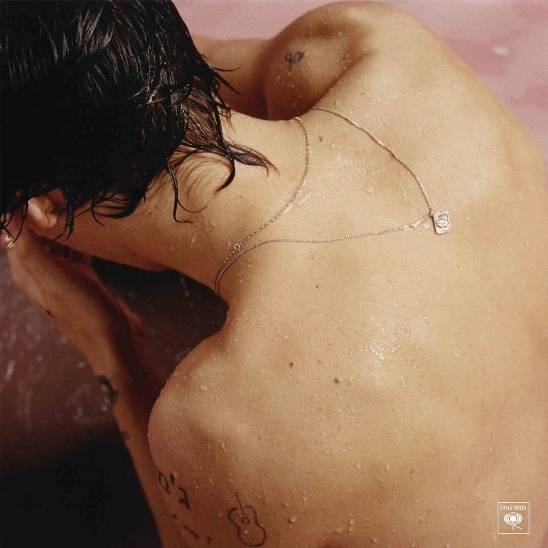 Harry Styles музыкальный певец Album12x12 24x24 27x27 художественный Шелковый плакат настенный холст печать современные декорации для стены
