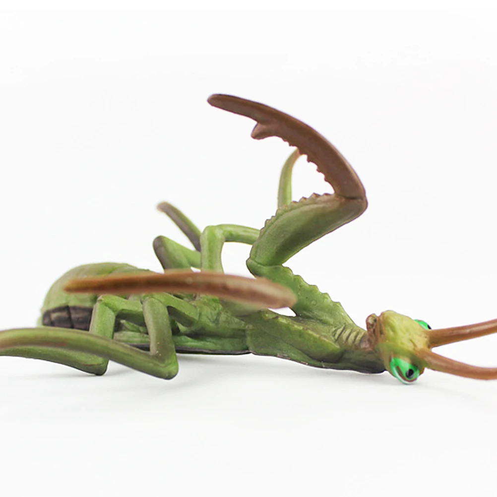 1 шт. фигурка Mantis модель насекомого, реалистичное ремесло, подарок, украшения, коллекция игрушек, украшение для дома, офиса, рабочего стола