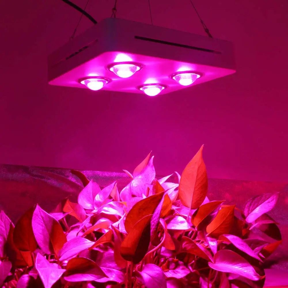 

600W 900W COB LED Grow Light Full Spectrum for Indoor Hydroponic Greenhouse Plant All Stage Growth Replace UFO Growing Lamp