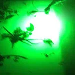 25% 50% 100% затемненные мигающие 140 Вт 200 300 12 в зеленые Подводные ночные рыболовные