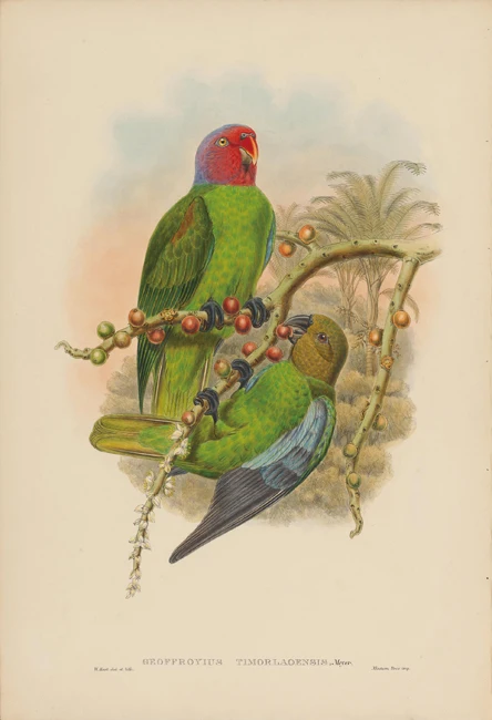 pastoral animal birds eat wild fruit scenery oil painting canvas prints printed on home wall art decoration picture | Дом и сад