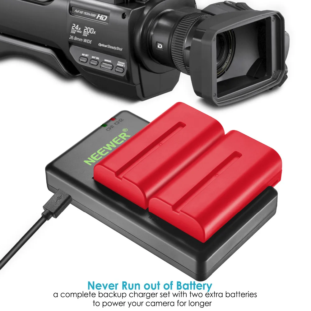 Neewer 2 шт. 2600 мАч sony NPF550/570/530 сменный литий-ионный аккумулятор с двойным зарядным устройством для sony HandyCams Neewer CN-160 светодиодный