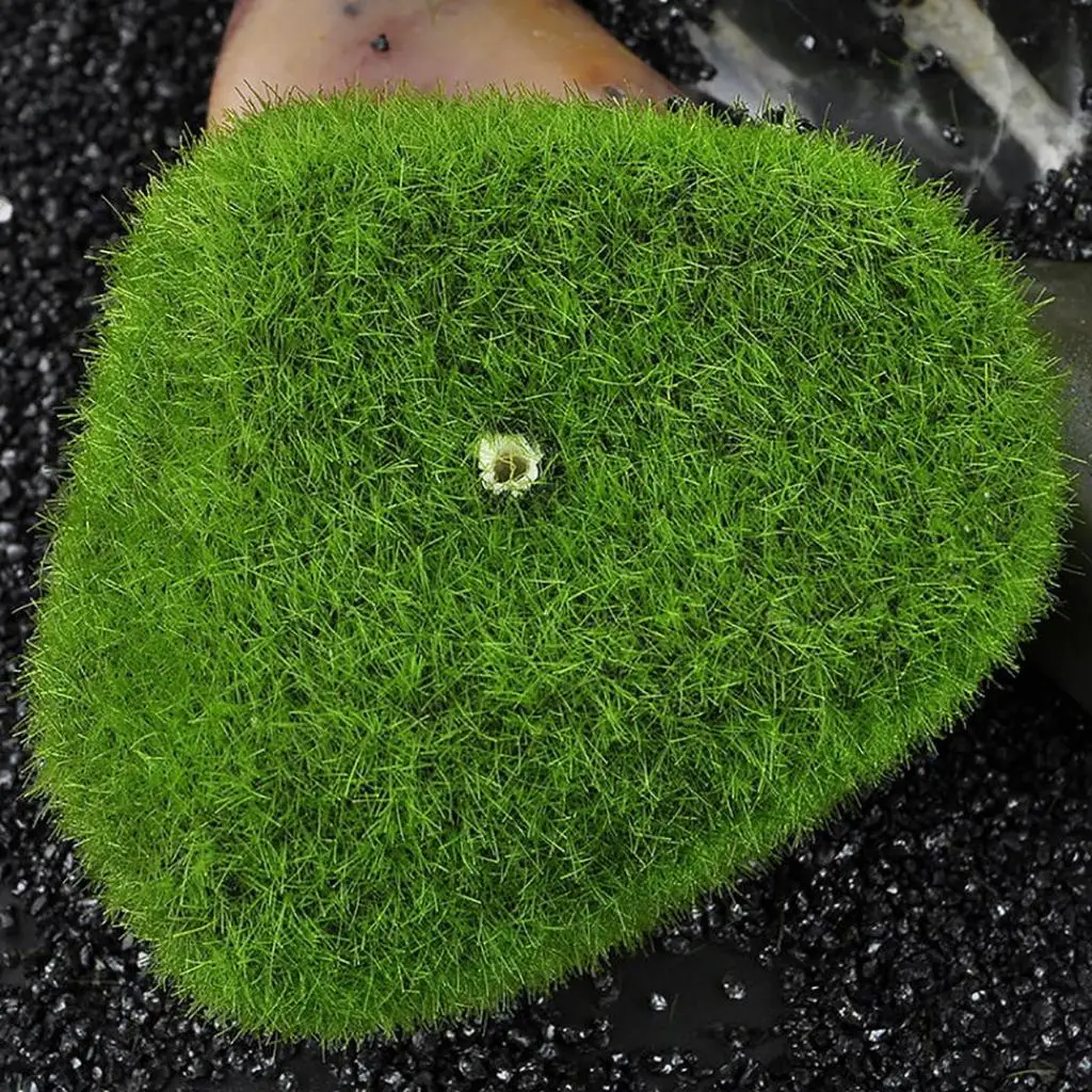 

Terrariums Decorations Artificial Green Grass 5Pcs/Set Landscape Moss Foam Stone Micro