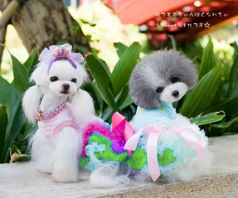 Лидер продаж 2018 короткая юбка для собаки цветная подходящая по цвету баллон