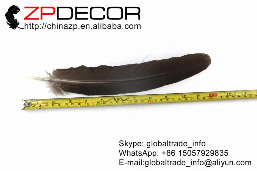

ZPDECOR Natural 25-30cm 50pieces/lot Barred Mottled Mine Good Quantity Peacock Wing Quill Feathers for Carnival Costumes Decor
