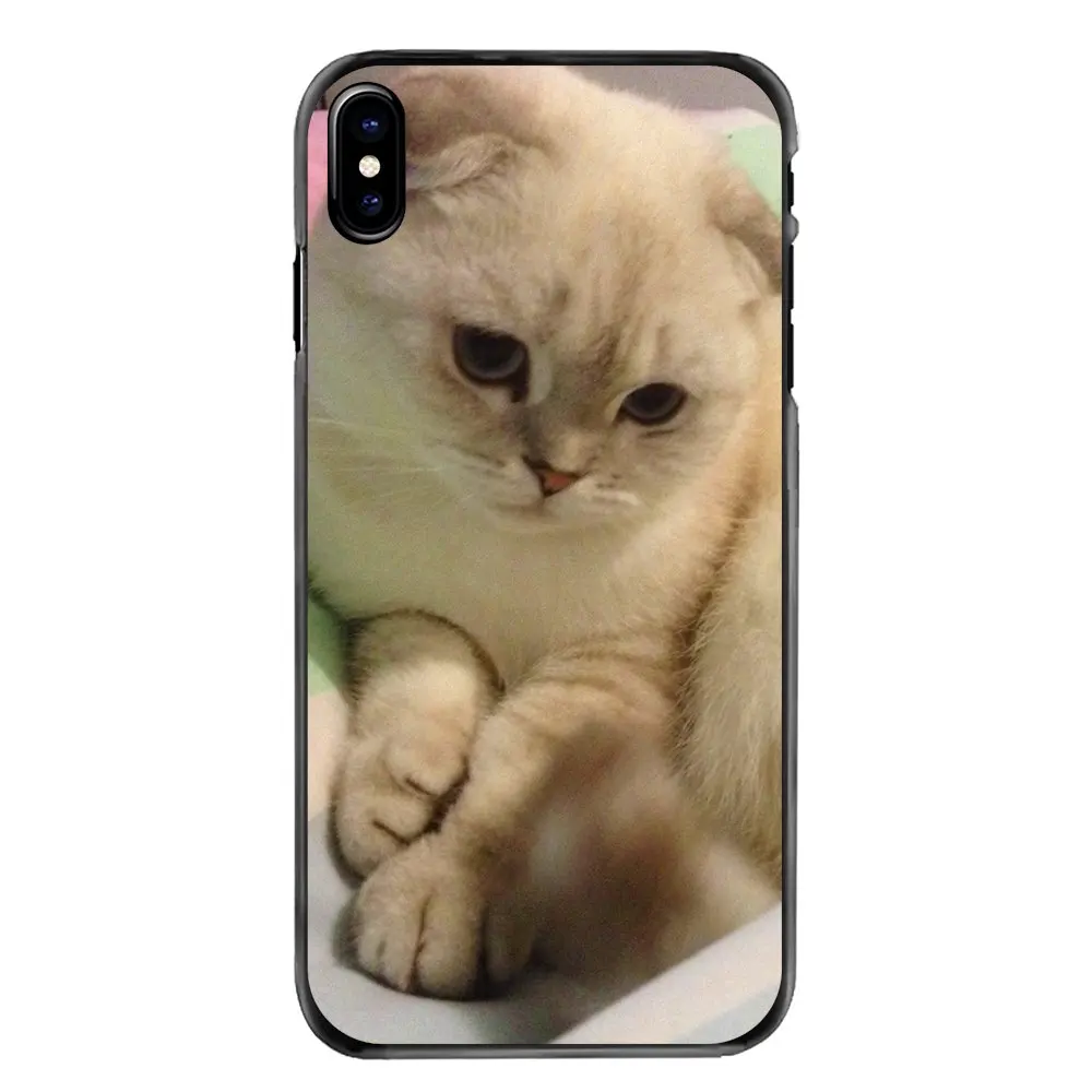 Шотландский складной Кот Felis catus Scotland для Iphone 4 4s 5 5S 5C SE 6 S 7 8 Plus X XR XS Max iPod Touch Жесткий