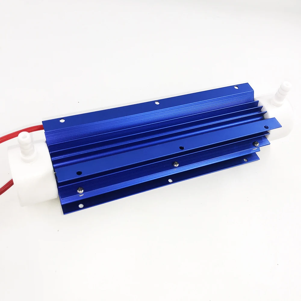 220 V/110 V 10g кварцевый генератор озона очиститель воды с питанием