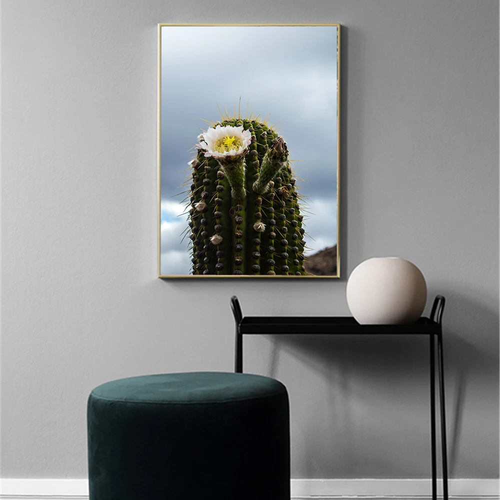Цветочный холст картина кактус настенный художественный постер скандинавский