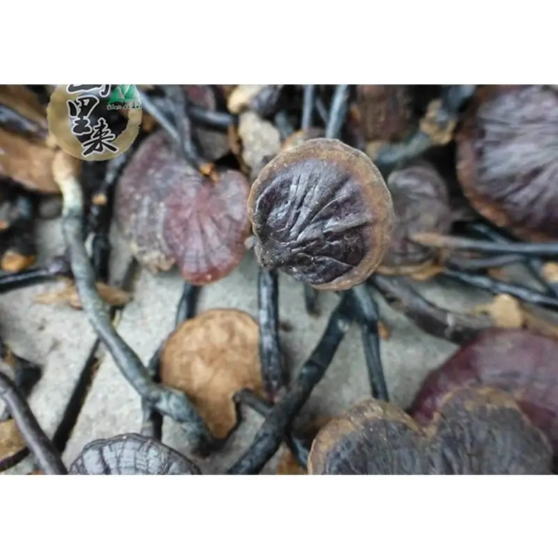 1000g Dried Wild Lingzhi Reishi Mushrooms Ganoderma Lucidum Top Grade Chinese Long Leg Natural Anti-cancer Herbal Tea H2016-35 |