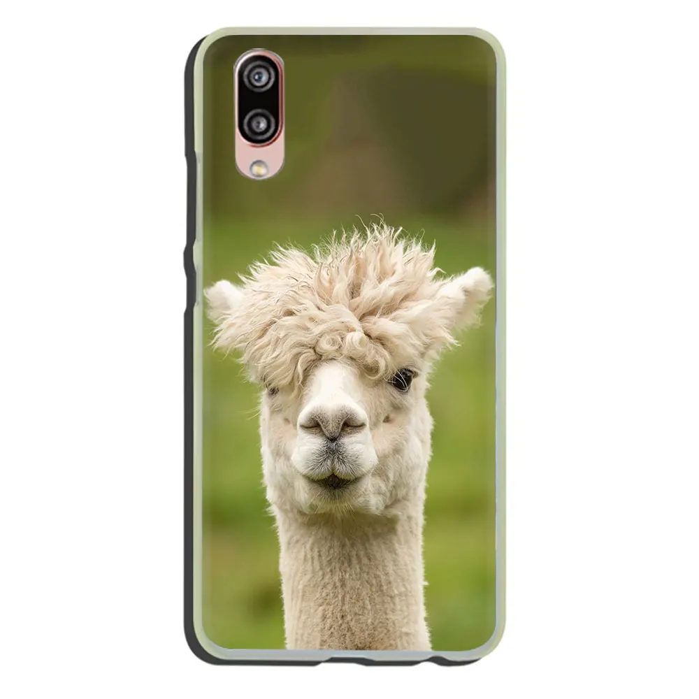 H2 Жесткий чехол для телефона Lama Llama Alpacas для huawei P30 P20 P8 P9 P10 Plus Lite Mini Pro smart - Цвет: H2