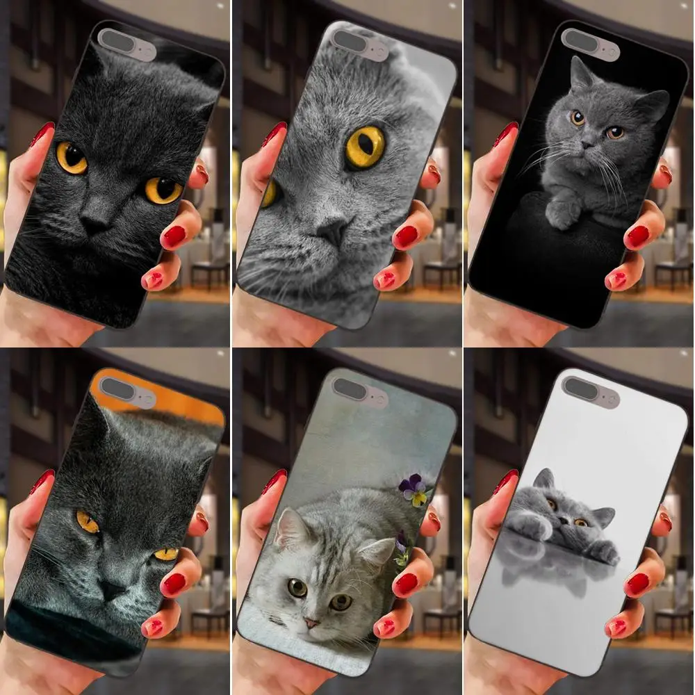 Просвечивающий чехол из мягкого британская; топ с рисунком кошки для huawei Honor 5A 6A 6C 7A 7C 7X 8A 8C 8X9 10 P8 P9 P10 P20 P30 Мини Lite рlus