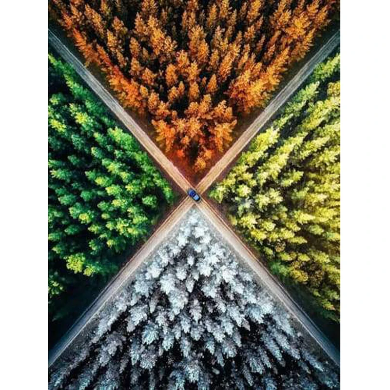 GLymg Four Seasons дерево пересечение Diy Стразы Вышивка алмазная живопись 5D вышивка