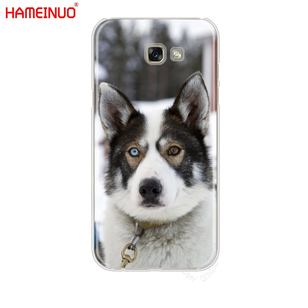 HAMEINUO Хаски щенок сотовый телефон чехол для Samsung Galaxy A3 A310 A5 A510 A7 A8 A9 2016 2017 | Мобильные