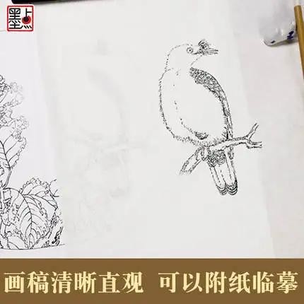 Китайская традиционная художественная книга с рисунками династии Сун/анализ