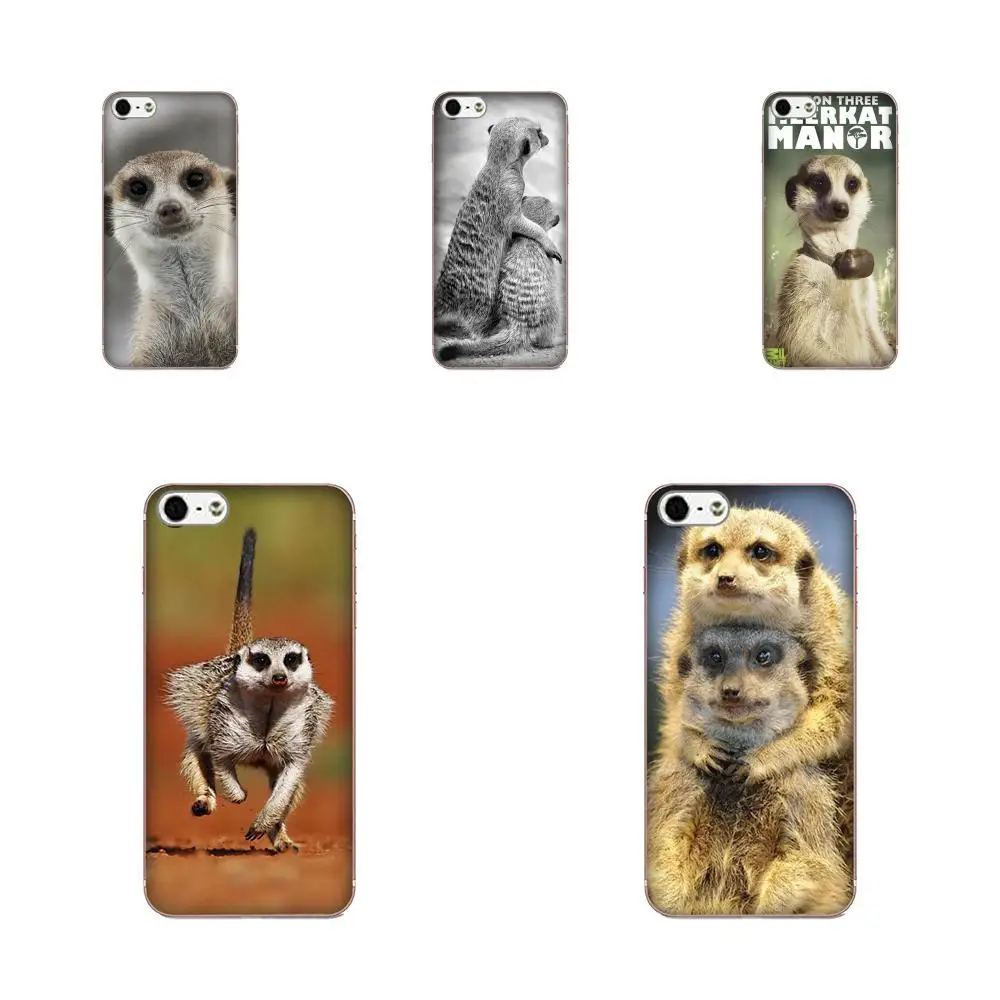 Meerkat Manor для LG Nexus 5 5X G2 G3 mini spirit G4 G5 G6 K4 K7 K8 K10 2017 V10 V20 V30 Stylus мягкий чехол мобильного