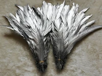 50pcslot22 28cm long silver painted natural feathershand painting coque tail feathers for millinerycraftssupplies