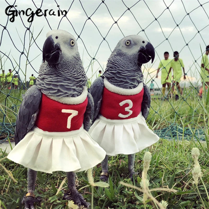 Gingerain одежда с птицами попугай Веселая отряд оригинальная ручная работа на заказ