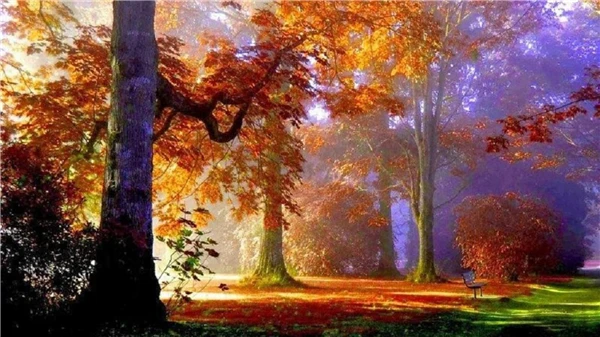 Diamond Embroidery needlework diy painting Cross Stitch Kits landscape woods full round diamond mosaic Room Decor yx3168 | Дом и сад