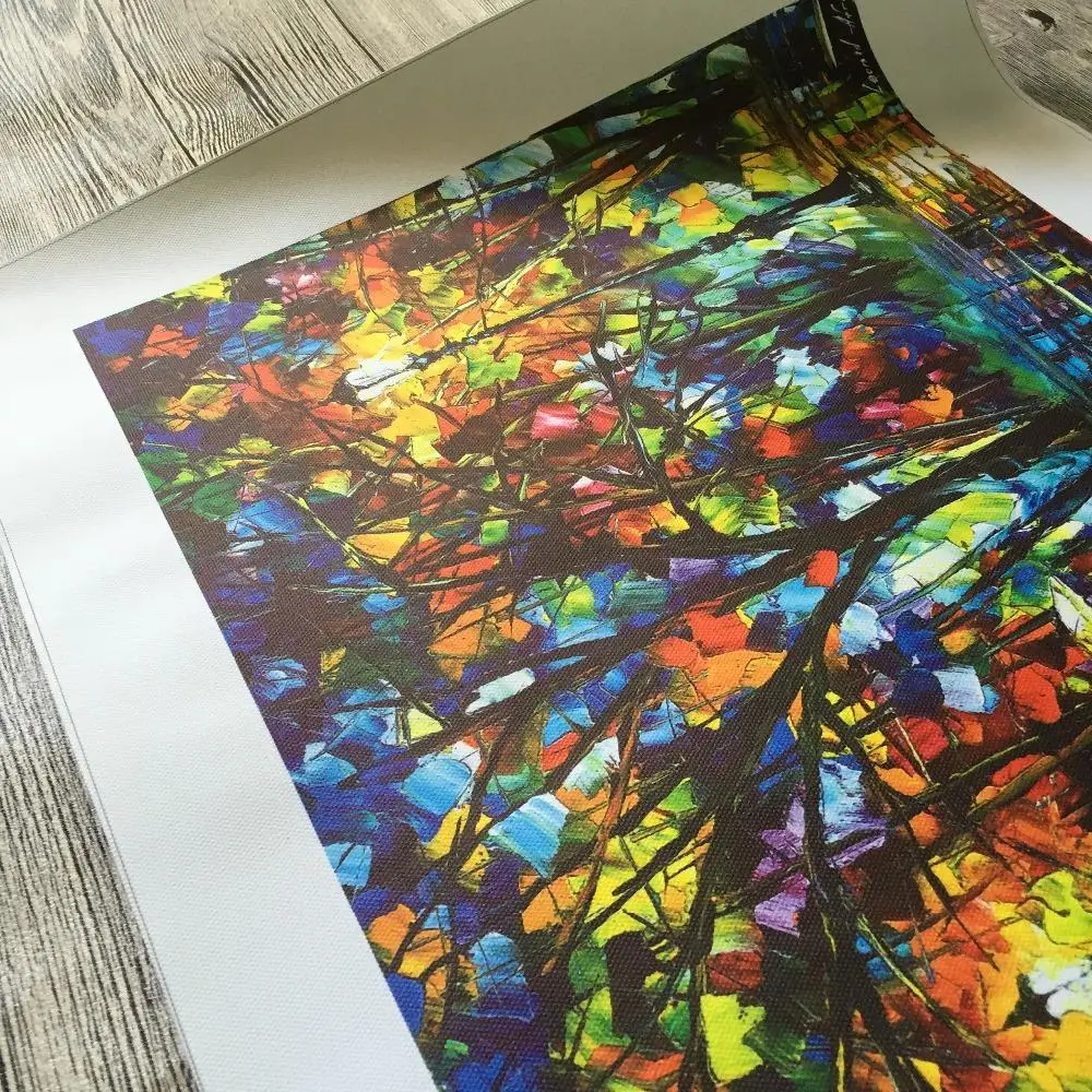 Горячая Распродажа Женская картина набор Фейерверков без рамки Картина на