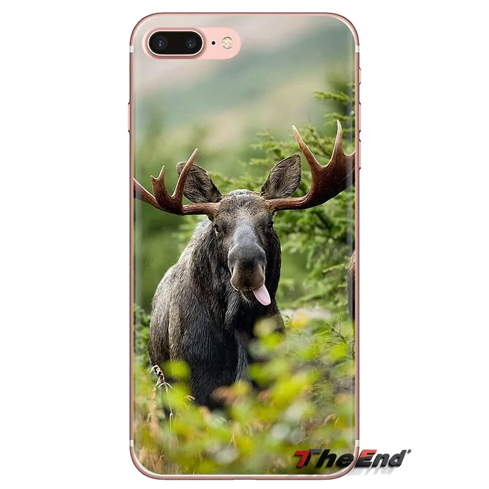 Мягкий прозрачный чехол-сумка с животным Аляска Булл Moose для Oneplus 3T 5T 6T Nokia 2 3 5 6 8 9 230