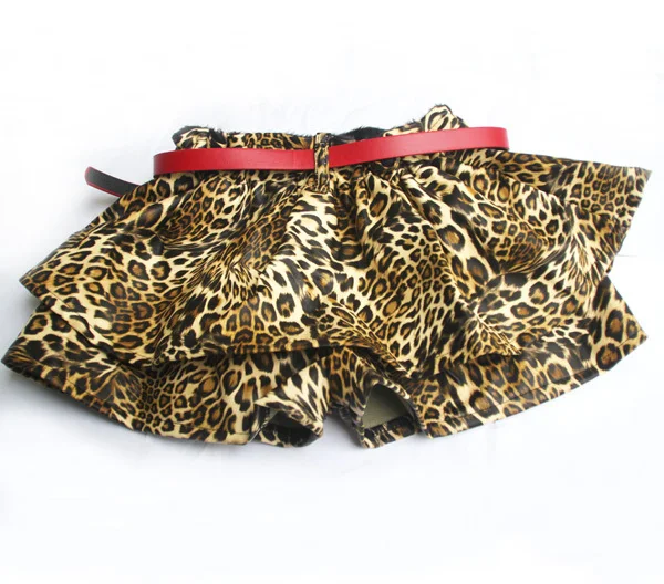 

wholesale(5pcs/lot)-2020 autumn and winter Leopard leather Culottes shorts