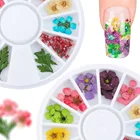 Набор для дизайна ногтей, 12 цветов