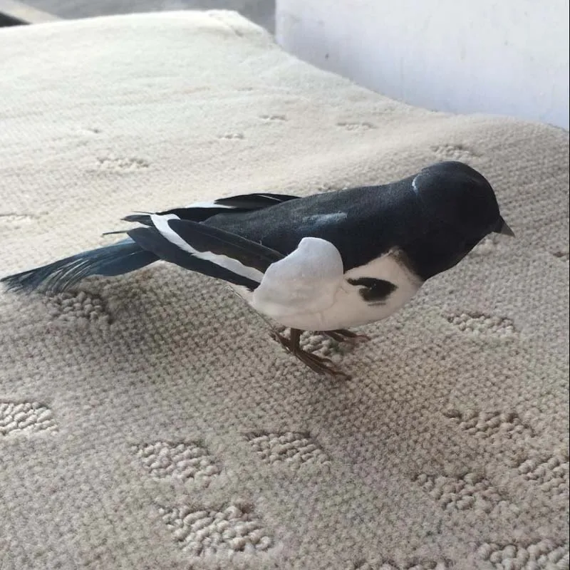 10 шт. 15*4 5*5 см маленькая черная Magpie искусственные пенные перышки декоративные