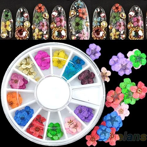 36 шт 3D стикер для дизайна ногтей сушеный цветок DIY Советы акриловые украшения