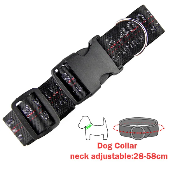 Black Collar 1,6 м регулируемый ошейник и поводок для домашних животных, нейлоновый поводок, ошейник для щенков, поводок для беговых собак, поводок для маленьких щенков, кошек - Цвет: Black Collar