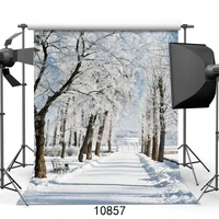 forest walkway snowy covered photographic background for portrait children baby shower new born vinyl cloth printed backdrop