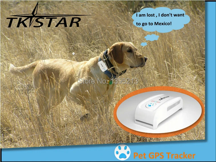 

High quality Waterproof Pet GPS Tracking Device+Pet Tracker GPS Pet Tracker/IOS App and Andriod App Pet gps tracker