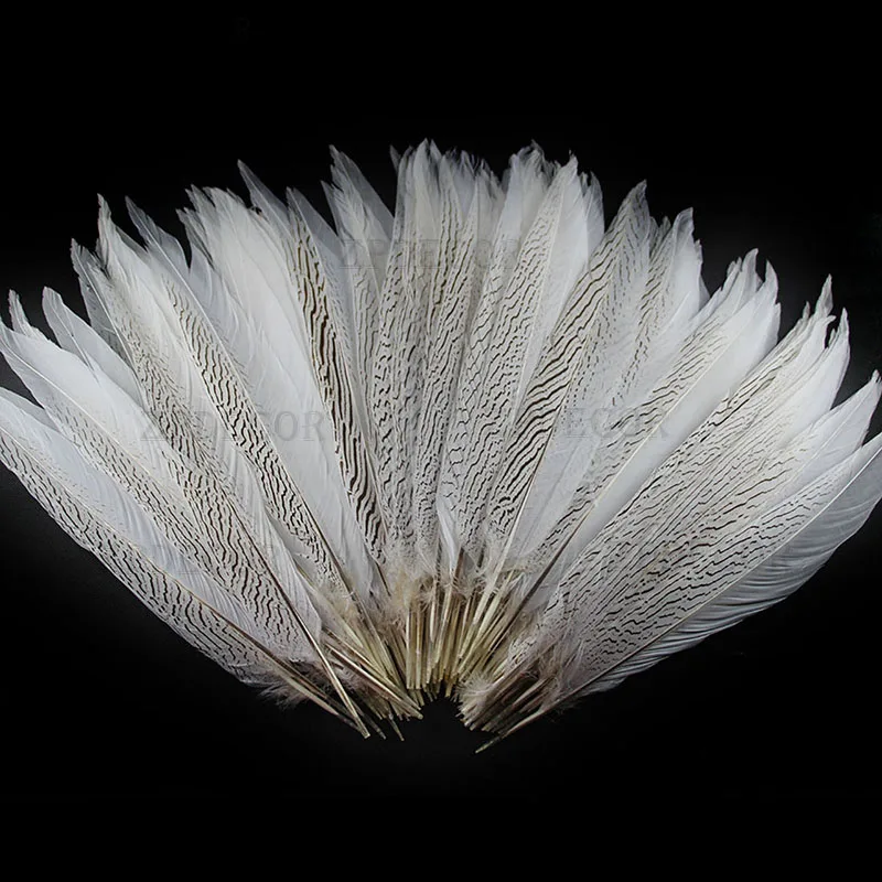 

Inch 16-18 40-45CM Silver pheasant feathers
