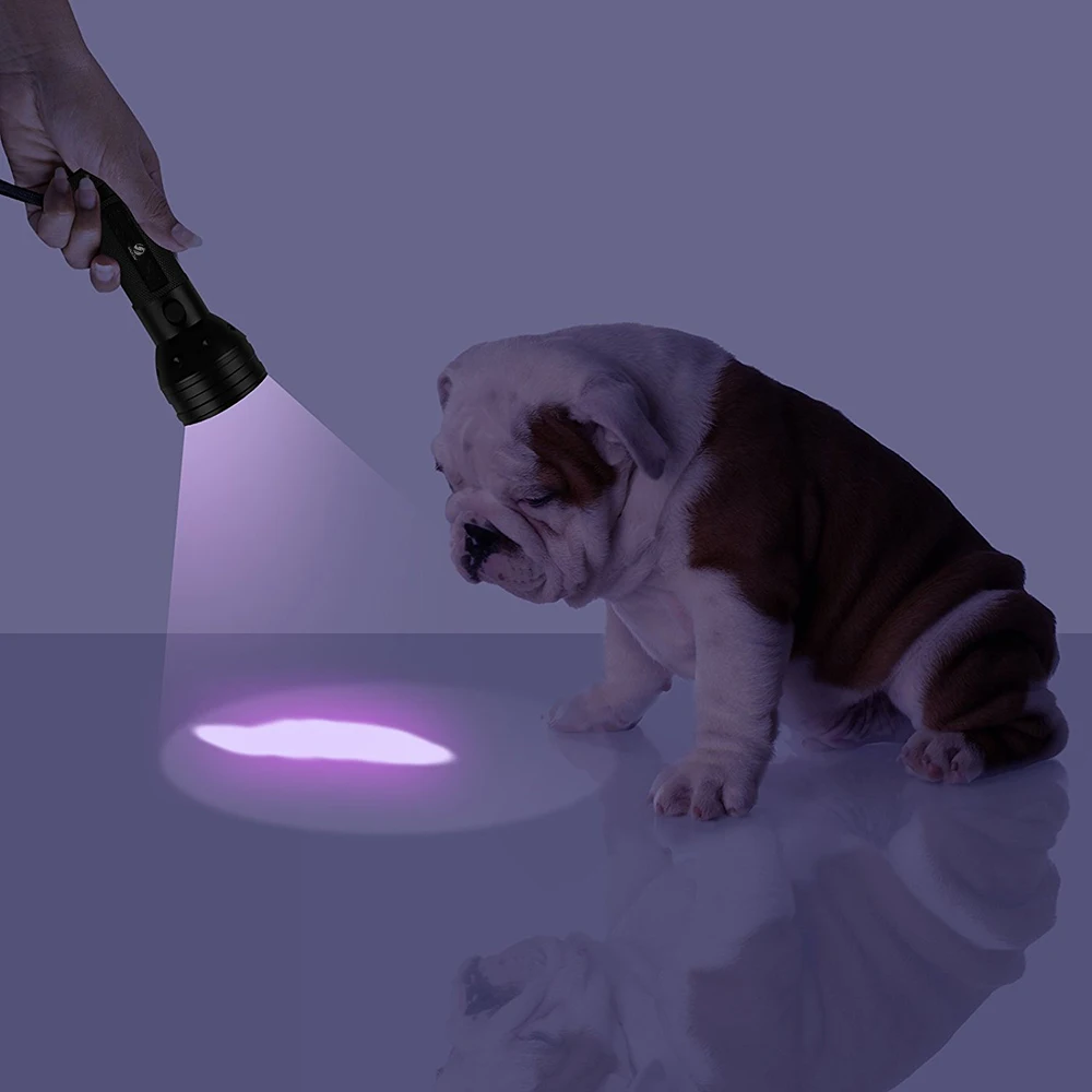 YHINT 51 светодиодный фонарик УФ-395nm ультрафиолетовый Собака мочи лампы Blacklight