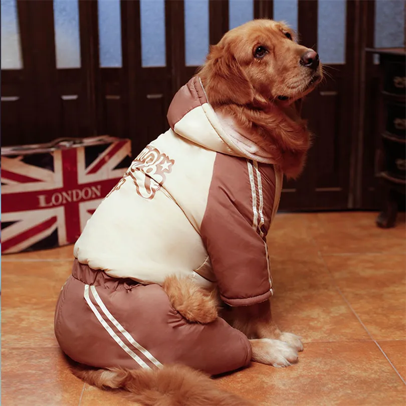 2020 зимняя куртка для собак золотистый ретривер Хаски Лабрадор Собаки Одежда