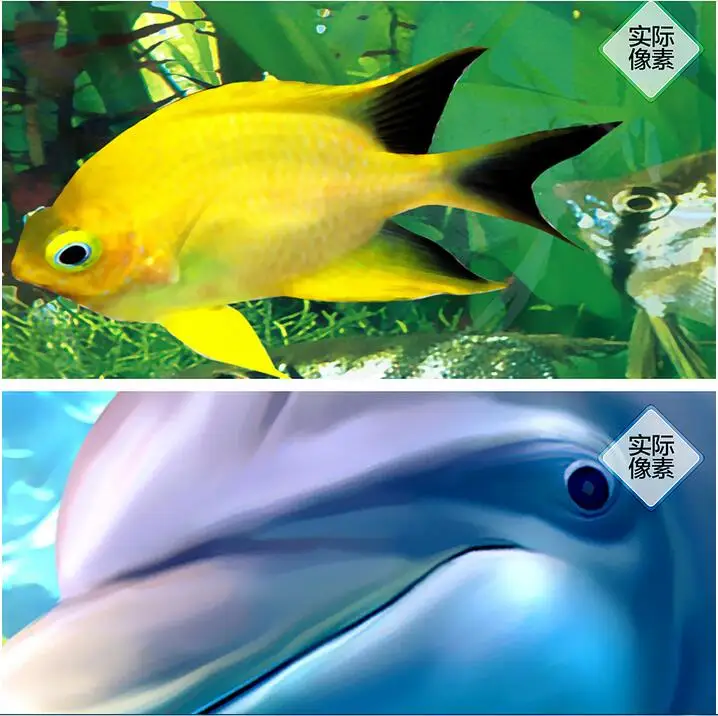 

3d wallpaper custom photo mural The undersea world fish porch 3d wall murals wallpaper for wall 3d living room painting