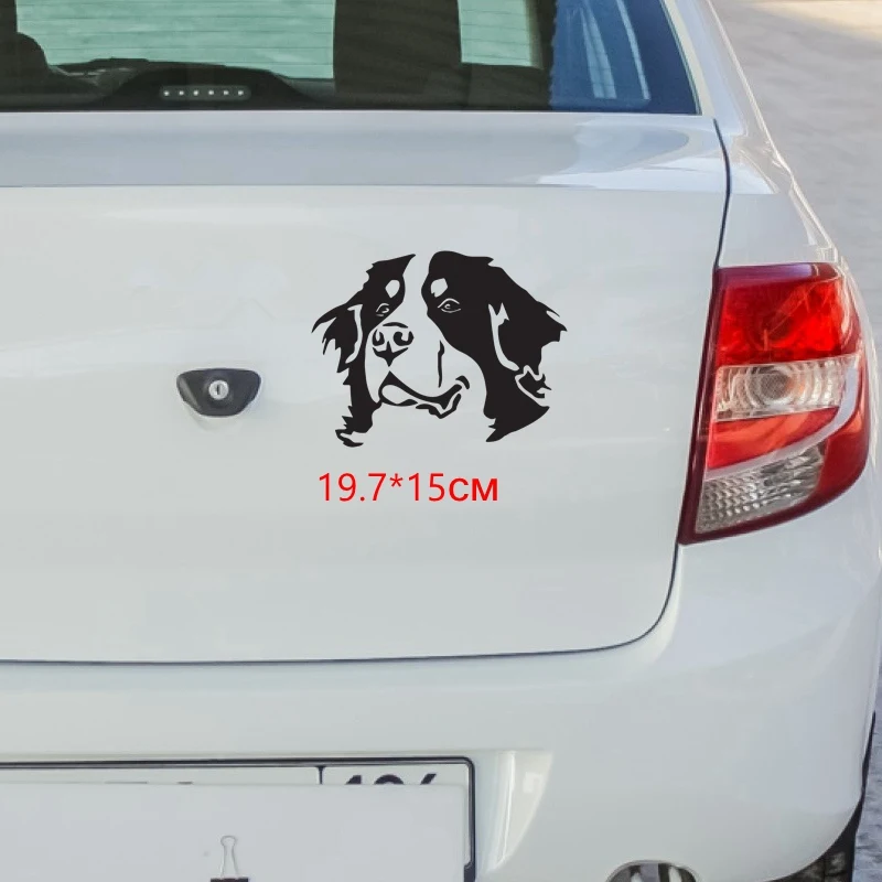 Три Мишки HZX935 15*19,7 см Швейцария Бернский зенненхунд голова наклейка на автомобильное лобовое стекло виниловые наклейки аксессуары наклейка.