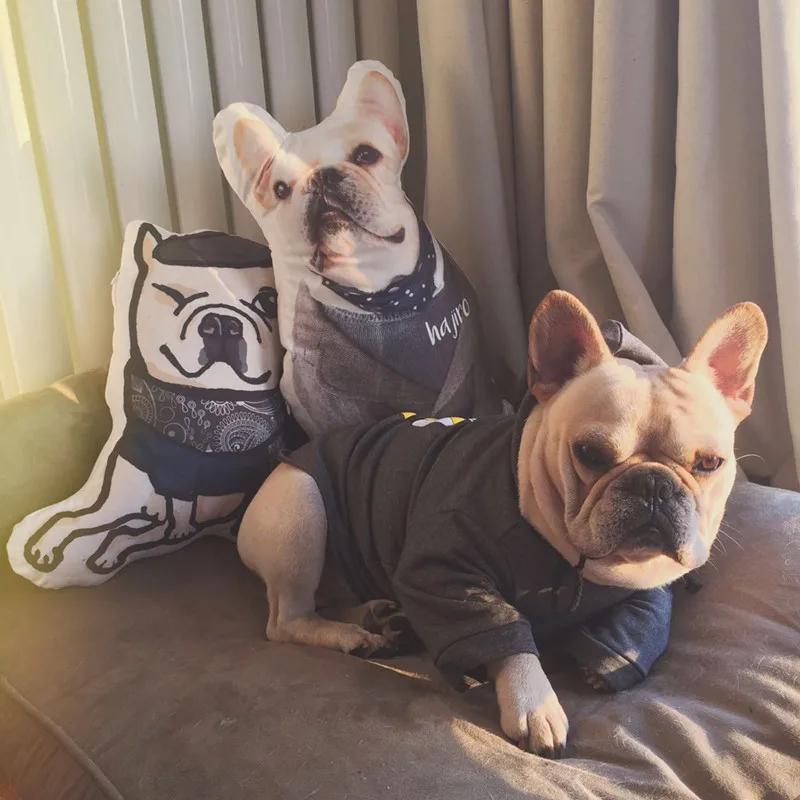 Satin Al 60cm özelleştirmek Baskılı Köpek/kedi Yavrusu Yastık, Kendi Köpek Yastık Oyuncak, Kat Yumuşak Oyuncaklar çocuklar Için Kız Ev Dekorasyon Hediye