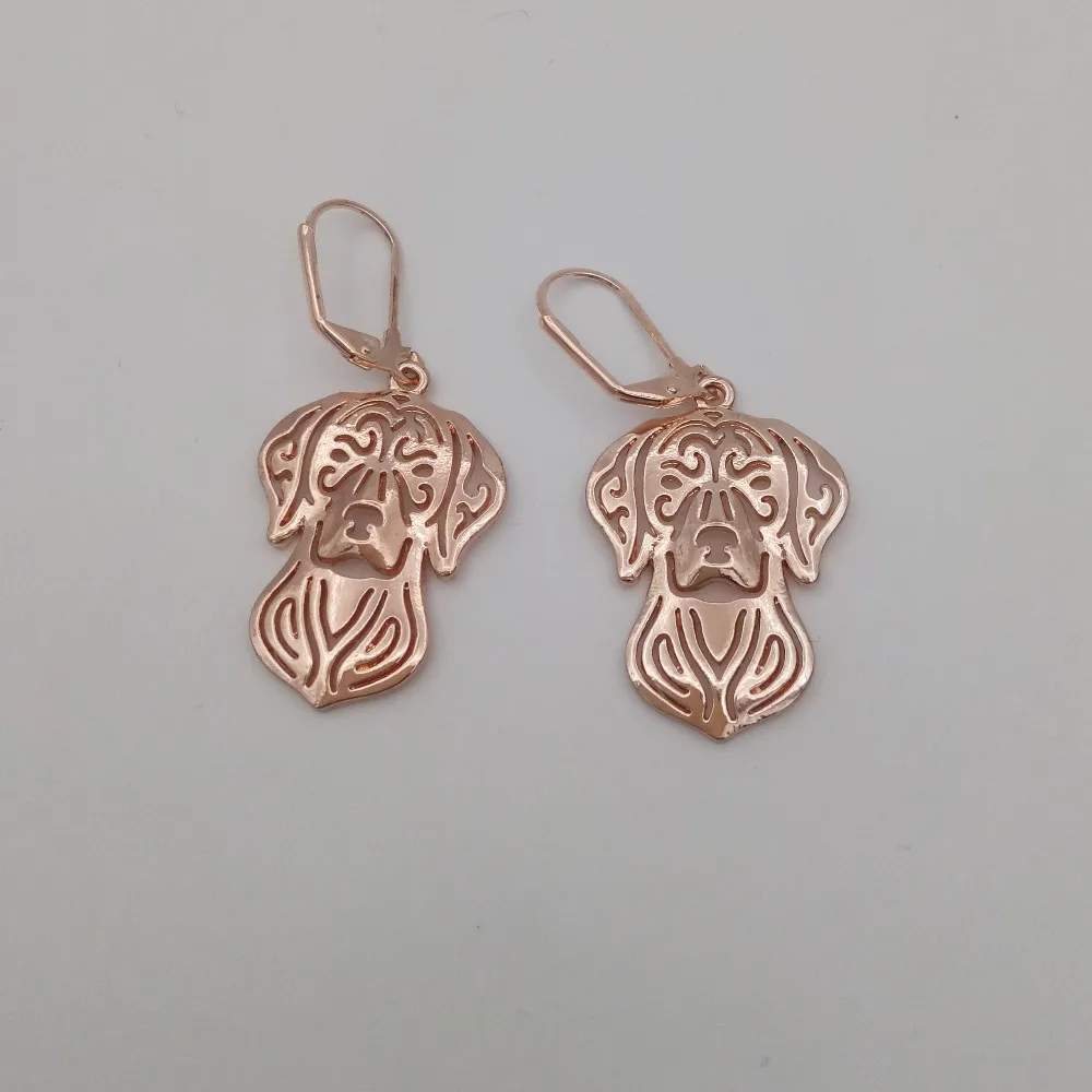 Elfin новые модные серьги Vizsla ювелирные изделия золотого цвета серебряного